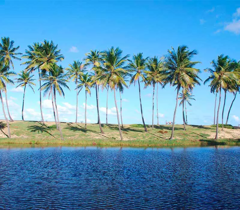 Venha para os hotéis all inclusive da Costa do Sauípe na Bahia.