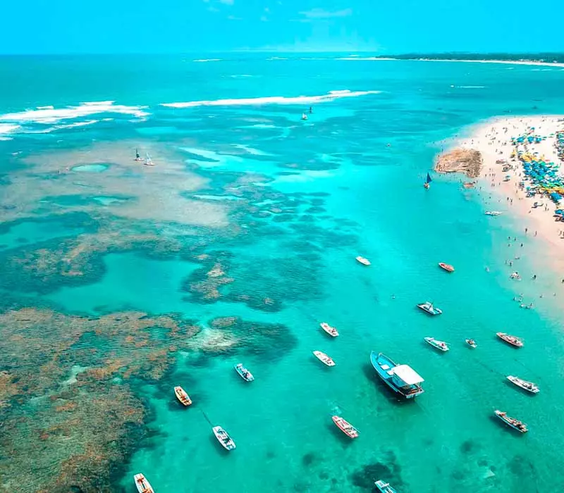 The Westin Porto de Galinhas é um Resort All Inclusive localizado em Porto de Galinhas, onde você vai relaxar em águas cristalinas repletas de peixinhos coloridos