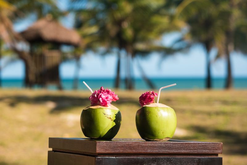  Resort All Inclusive